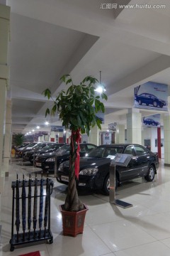 4S店展厅 绿色植物 汽车销售