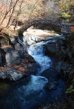 红叶 秋景 石桥 溪水 枫叶