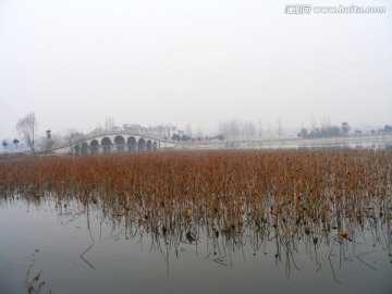 仙桃莲花池