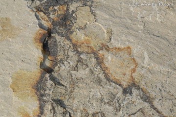 大理石纹 纹理 石材 地板