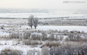 伊犁河的冬天