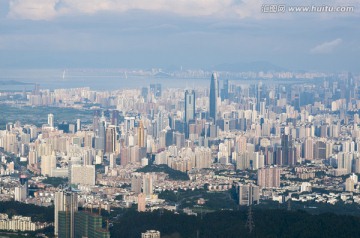 深圳 都市风光 风景 高楼群