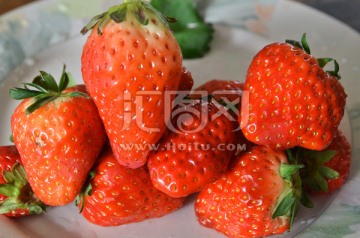 草莓 水果 新鲜草莓