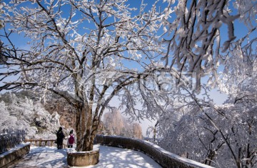 黄山雪淞