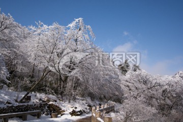 黄山雪淞