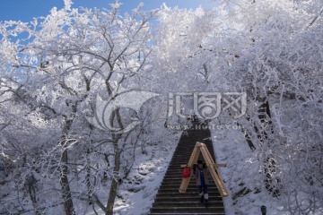 黄山雪淞