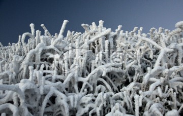 雪花