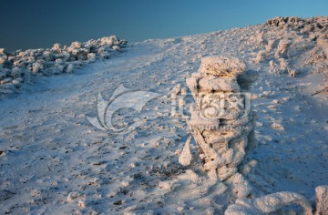 龙山雪花