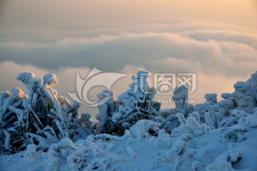 龙山看雪