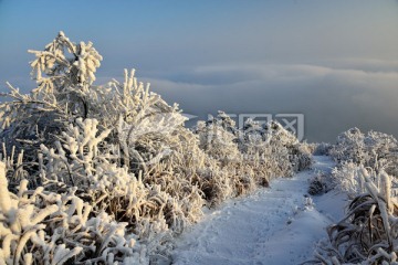 雪景