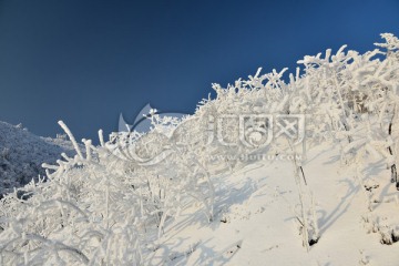 白雪