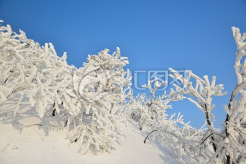 雪景