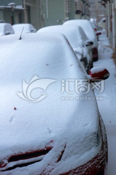 被雪覆盖的汽车