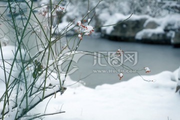 雪后小景