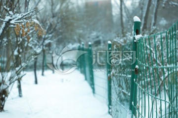 雪后小景