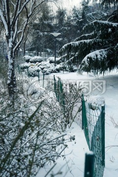 公园雪景