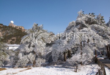 黄山雪淞