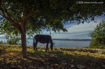 抚仙湖风光