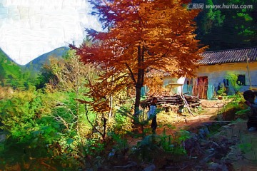 自然风情