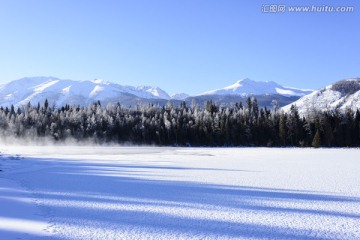 冬雪