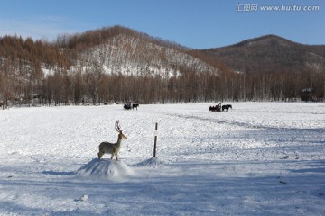 亚布力林海雪原
