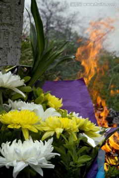 清明节 扫墓 祭祀 民俗 传统