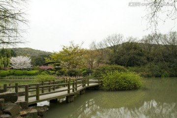 无锡鼋头渚风景区 鼋头渚 樱花