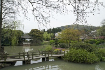 无锡鼋头渚风景区 鼋头渚 樱花