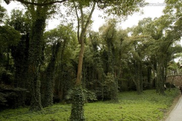 无锡鼋头渚风景区 鼋头渚 园林