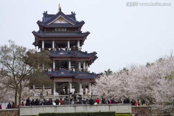 无锡鼋头渚风景区 鼋头渚 无锡