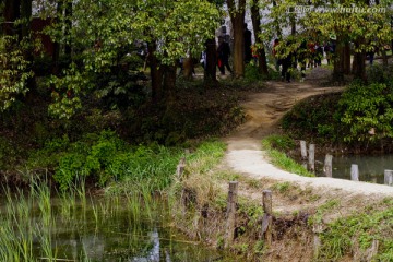 无锡鼋头渚风景区 鼋头渚 园林