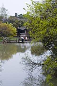 无锡鼋头渚风景区 鼋头渚 樱花