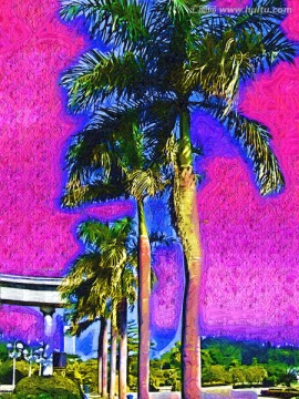 椰树