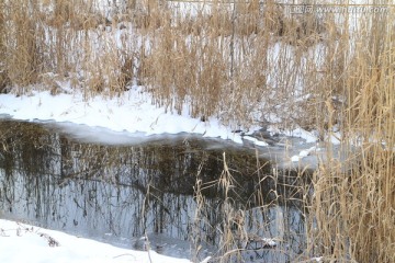 冰雪溪水