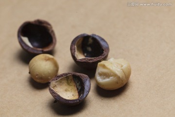 澳洲坚果