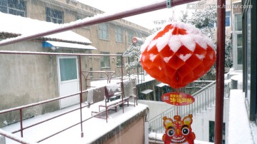 雪景 民居 百姓生活 庭院