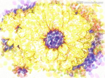 花卉 装饰画 无框画