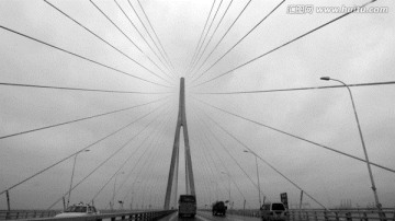 现代桥梁 苏通大桥 现代建筑