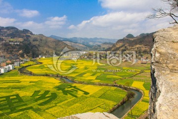 古蔺双沙油菜花画时乡村