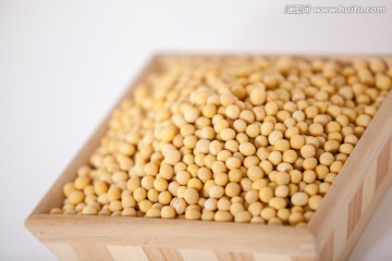 黄豆