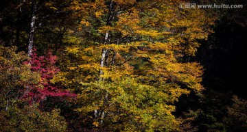 金秋光雾山