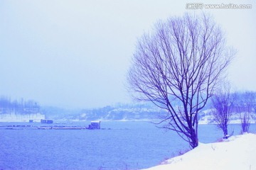 冬日雪景