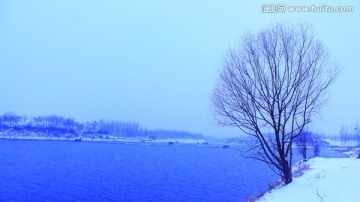 冬日雪景