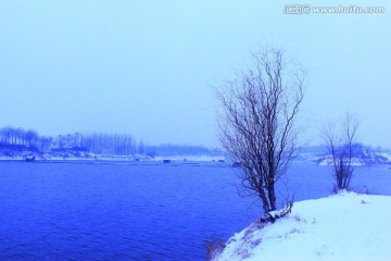 冬日雪景