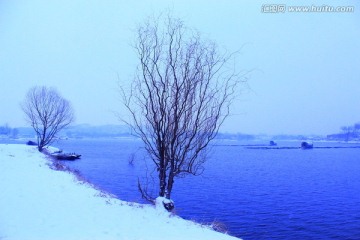 冬日雪景