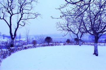冬日雪景