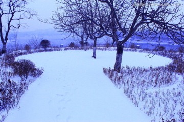 冬日雪景
