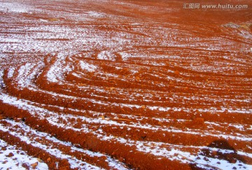 落雪的红土地