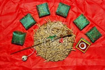 中药材 远志