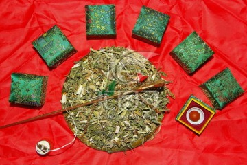 中药饮片 益母草